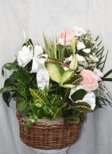 blessed mother dishgarden2 – Pequa Park Florists Inc, Massapequa NY