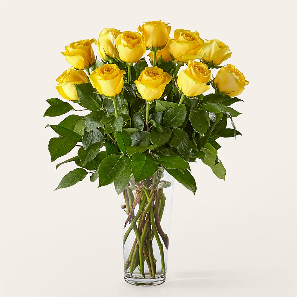 Long Stem Yellow Rose Bouquet – Pequa Park Florists Inc, Massapequa NY