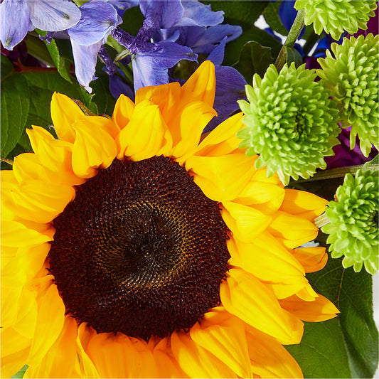 Catching Rays Bouquet – Pequa Park Florists Inc, Massapequa NY