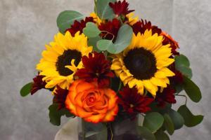 FALLCUBESUN – Pequa Park Florists Inc, Massapequa NY