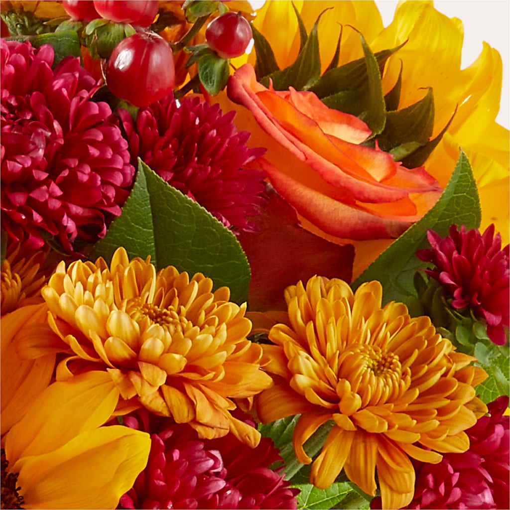Sweater Season - A Florist Original – Pequa Park Florists Inc, Massapequa NY