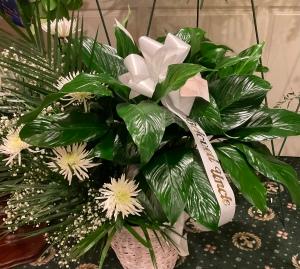 pgpff – Pequa Park Florists Inc, Massapequa NY