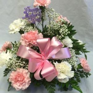 MOTHERS DAY CARNATION ARRANGEMENT – Pequa Park Florists Inc, Massapequa NY