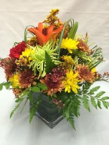 Pequa Park Autumn Cube – Pequa Park Florists Inc, Massapequa NY