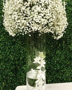 pbabysbreath1 – Pequa Park Florists Inc, Massapequa NY