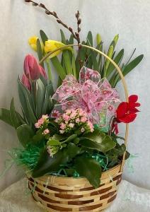 pbpl1 – Pequa Park Florists Inc, Massapequa NY