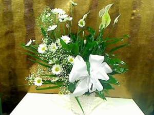 Pequa Peace Lily 2 – Pequa Park Florists Inc, Massapequa NY