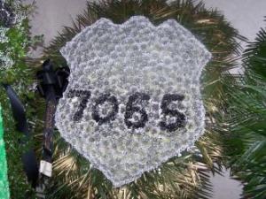 Pequa Police Badge