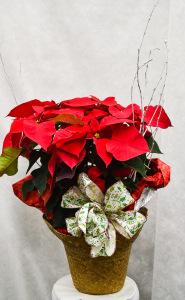 PS3499 – Pequa Park Florists Inc, Massapequa NY