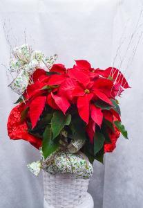 PS5499 – Pequa Park Florists Inc, Massapequa NY