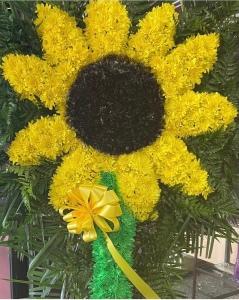 P Sunflower