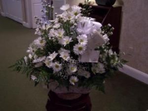 Pequa White Daisy Basket – Pequa Park Florists Inc, Massapequa NY