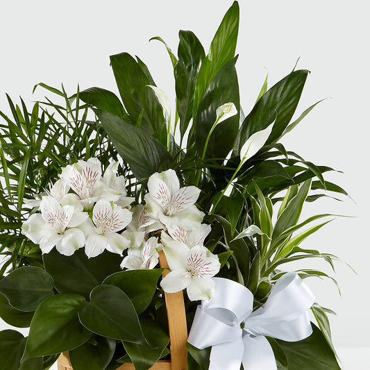 Peace & Serenity Dishgarden –  Pequa Park Florists Inc, Massapequa NY