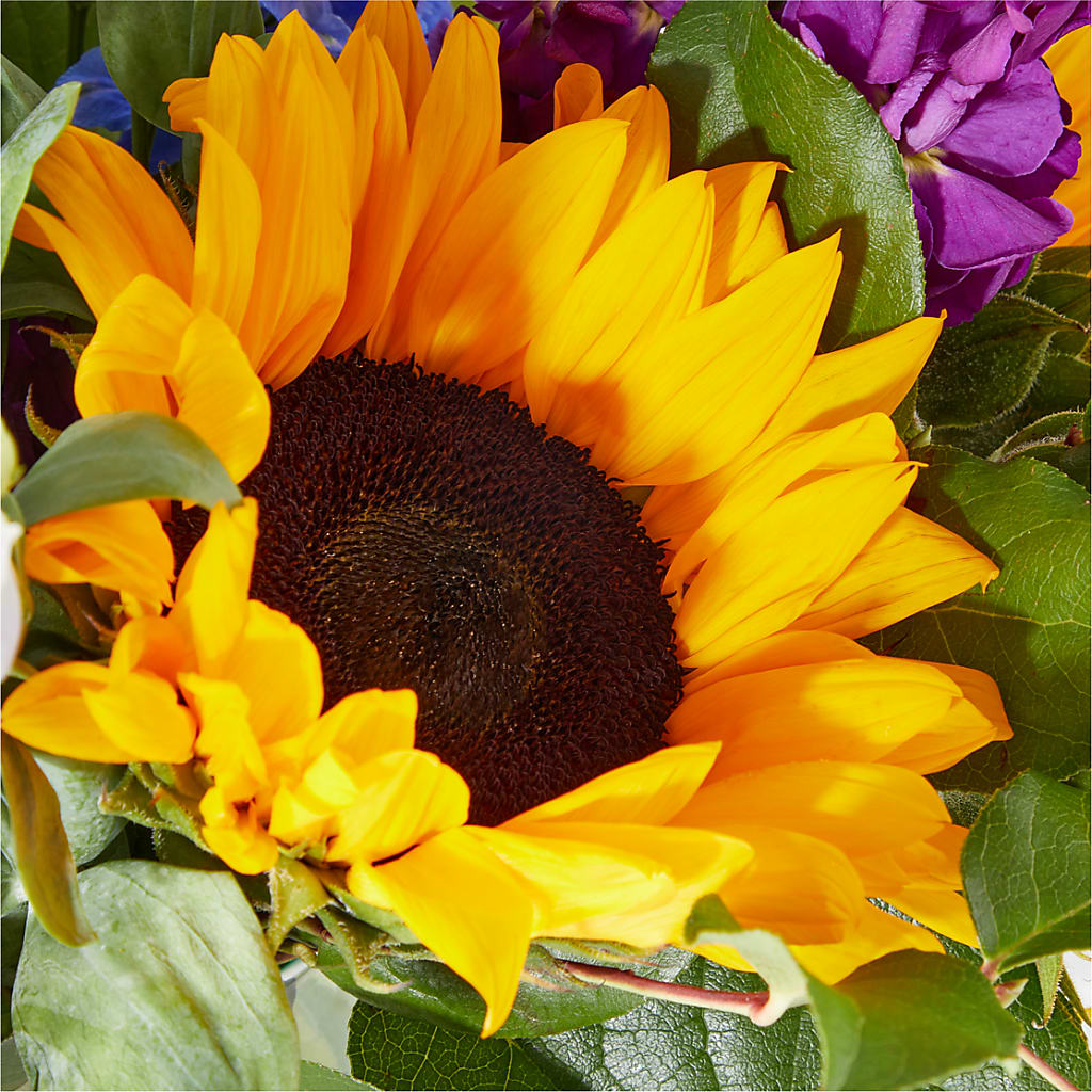 Catching Rays Bouquet –  Pequa Park Florists Inc, Massapequa NY