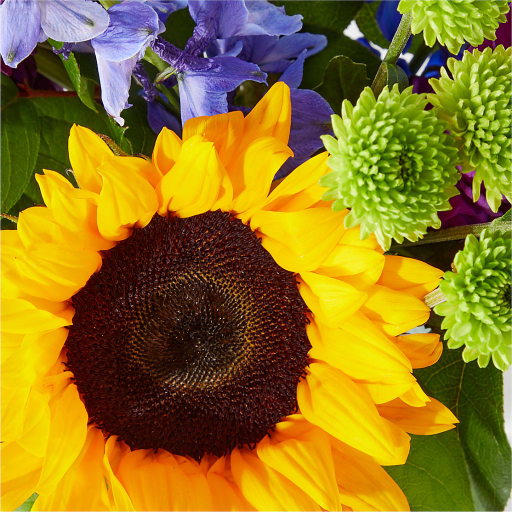 Catching Rays Bouquet –  Pequa Park Florists Inc, Massapequa NY