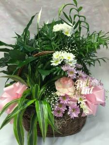 Pequa Dish Garden Pastels