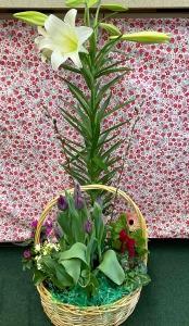 pelblplants –  Pequa Park Florists Inc, Massapequa NY
