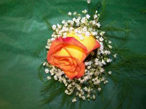 pequaboutcircus –  Pequa Park Florists Inc, Massapequa NY