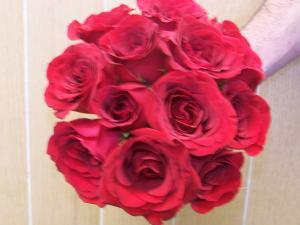 pequawbred –  Pequa Park Florists Inc, Massapequa NY