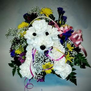 PEQUA PUPPY FLORAL ARRANGMENT