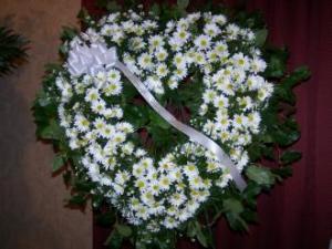 Pequa White Daisy Open Heart